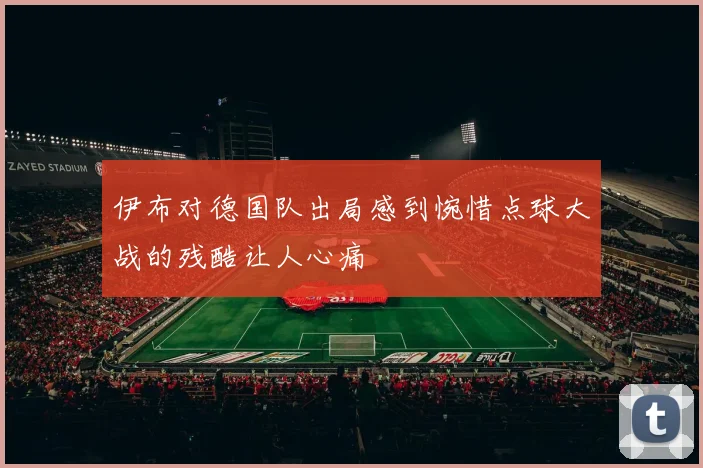 伊布对德国队出局感到惋惜点球大战的残酷让人心痛
